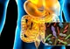 Probioticele naturale, un ajutor din partea naturii pentru sănătatea sistemului digestiv