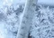 Record negativ de temperatură la Întorsura Buzăului