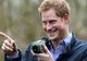 Paparazzii l-au prins: ce făcea Prințul Harry în oraş cu iubita lui, actriţa Meghan Markle