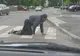 Veşti proaste pentru şoferii care se urcă băuţi la volan. Ce li se pregăteşte