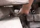 Credeau că au salvat o mamă cu cei trei căţei ai ei, dar au greșit. Ce era, de fapt!