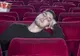 A adormit în sala de cinema, în timpul filmului. Când s-a trezit, șoc. "Am sunat la poliție"