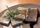 8 motive să NU mai mănânci tofu. Soia "hrăneşte" cancerul la sân