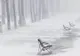 ALERTĂ METEO de ultimă oră. Cod galben de ninsori viscolite 