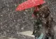 Vremea la începutul săptămânii: se întorc precipitațiile. Ce temperaturi vor fi