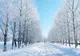 Iarna pune stăpânire pe toată țara. Prognoza meteo pentru miercuri și joi