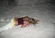 Cum s-au făcut de râs ruşii care au băut peste măsură. Cele mai amuzante poze ale anului 2016
