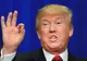 O specie de molie va fi botezată după Donald Trump pentru coafura unică a acestuia