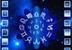 Zodiile favorizate în luna februarie