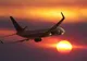 Un pasager și-a luat toate animalele de companie cu el în avion. Imaginea e uluitoare 