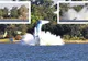 Avion PRĂBUȘIT în Australia: Două persoane au murit sub privirile a mii de oameni. VIDEO