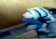 Imagini şocante! Un elev din Lugoj, călcat în picioare de colegii săi