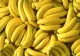 Bananele ar putea DISPĂREA de pe piaţă. Motivul incredibil!