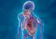 Descoperire şocantă: Un nou organ a fost identificat în corpul uman. Ce rol are?