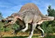 De ce mergeau DINOZAURII pe două picioare? Explicaţia uimitoare a paleontologilor