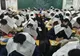 Fotografie şocantă într-o sală de clasă din China. Ce sunt obligaţi elevii să poarte pe cap