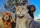 Zece selfie-uri cu animale care te vor face cu siguranţă să zâmbeşti 