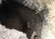 Au găsit un tunel sub pământul din curtea casei. "Am coborât pe trepte și nu mi-a venit să cred"