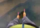 Extrem, dar foarte spectaculos. Au patinat pe gheaţă foarte subţire - ce se afla sub picioarele lor
