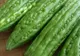 MIRACULOS! Această plantă distruge 98% din celulele canceroase și previne diabetul