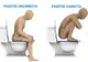 Ai folosit toaleta GREŞIT toată viaţa. Uite cum spun medicii că trebuie să stai pe WC!