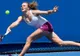  Alison Riske și Katerina Siniakova sunt cele două finaliste ale turneului de la Shenzhen