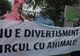 Protest în stradă la Cluj-Napoca! Oamenii cer interzicerea spectacolelor de circ în oraş 