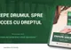 Ghid case de pariuri online 2017 (P)