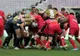 Emoţionant! Fanii echipei Harlequins strâng bani pentru a ajuta Timișoara Saracens să achite amenda 