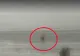 Cel mai BIZAR filmuleţ: ce a făcut un bărbat din Constanţa, în plin COD ROŞU de ninsoare