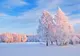 Vremea, din nou geroasă. Prognoza meteo pentru joi, vineri și sâmbătă
