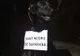 BBC scrie despre protestatarii patrupezi de la București