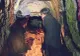 Doi turişti au găsit intrarea SECRETĂ şi INTERZISĂ în catacombele Parisului.Au fost marcaţi pe viaţă