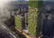 Cum arată prima pădure verticală din China. Copacii vor merge până la 200 de metri altitudine
