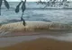 O creatură uriaşă a apărut pe plajă după cutremur. Oamenii sunt îngroziţi
