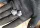Pădurarii au tăiat trunchiul unui plop şi au găsit două bucăţi de metal. ŞOC! Ce erau, de fapt