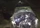 Poliţistul care a omorât un om se poate întoarce la muncă 