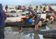 Catastrofă ecologică de proporţii. Sute de balene au murit