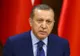 De frica lui Erdogan, 136 de diplomați turci cer azil politic în Germania