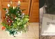 Credea că florile sunt pentru ea. A văzut biletul şi a înlemnit!De atunci, nimic n-a mai fost la fel