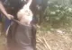 Imagini şocante! Un ostatic german a fost filmat de jihadişti înainte să fie decapitat