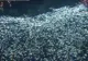 Cel mai impresionant moment din Piaţa Victoriei: 280.000 de lumini aprinse