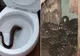 Când s-a dus la toaletă a îngheţat de spaimă. Vezi descoperirea uluitoare a unui copil din Texas