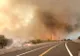 Unul dintre cele mai bizare fenomene naturale din lume. Ce sunt tornadele de foc?