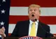 Trump așteaptă ca Rusia să returneze Crimeea Ucrainei. Moscova: Nu returnăm teritoriile noastre
