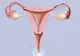Ce se întâmplă cu vaginul tău dacă nu ai activitate sexuală. Toate femeile ar trebui să ştie asta