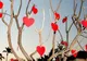 Felicitare antisemită de Valentine's Day. Participanţii la eveniment au fost scandalizaţi