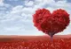 Prima ţară din lume care interzice Valentine's Day