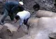 Descoperire fabuloasă din epoca faraonilor la marginea orașului Cairo