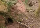 A găsit o gaură de iepure, dar nu era ce credea. A săpat, a descoperit o peşteră din 1119